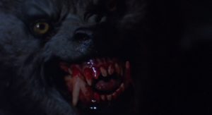 An American Werewolf Bares his Teeth