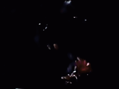 Man versus nature: Scenes from The Rats (1982)