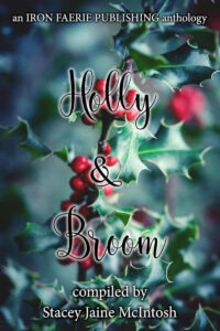 Holly & Broom (Hawthorn & Ash Book 6): Picture of the Cover