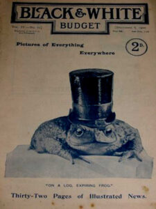 Black & White Budget (magazine)